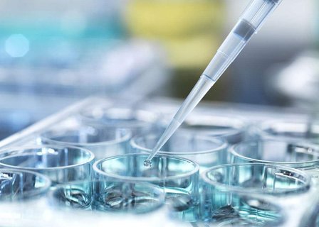 借卵宝宝拉粑粑出血 借卵宝宝拉粑粑出血